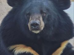 -石家庄市动物园