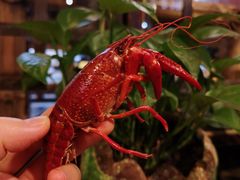 -霄汉牛三鲜湖北砂锅菜(万松园2店)