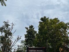 -呀诺达热带雨林