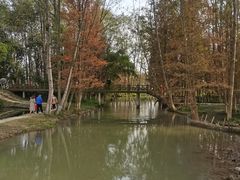 -桤木河湿地公园