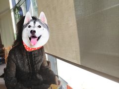 大堂-星巴克臻选(沈阳万象城店)