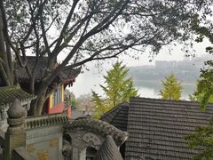 -磁器口古镇