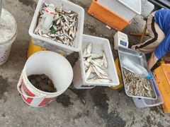 -团泊镇示范集贸市场