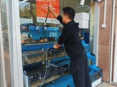 -北戴河庆山饭店·海鲜砂锅粥(北戴河黑石路店)