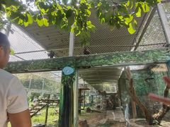 -西安秦岭野生动物园