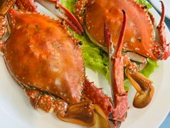 -大连湾旭日·家宴·海肠捞饭(马栏广场店)