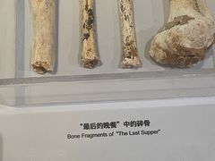 -重庆自然博物馆(新馆)