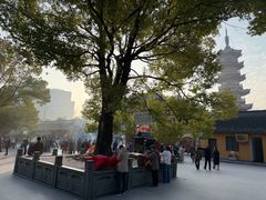 -龙华素斋(龙华路店)