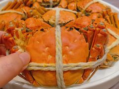 -新光酒家·河豚·海鲜·蟹料理(浦东店)