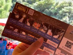 -将军关探险漂流