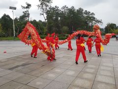 -九龙江国家森林公园