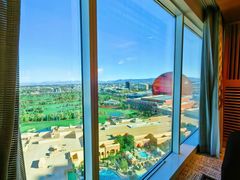 -拉斯维加斯永利酒店