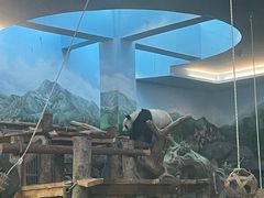 -武汉动物园