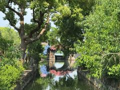-无锡蠡湖国家湿地公园-蠡园