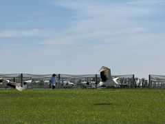 -盐城丹顶鹤湿地生态旅游区