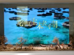 -中国湿地博物馆