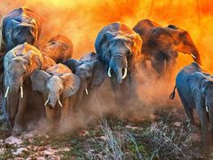 -罗红摄影艺术馆