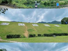 -龙坞茶村