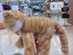 -金鹰国际购物中心(江都店)
