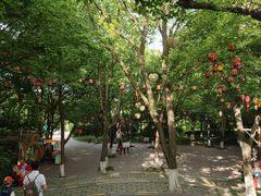 -天目湖山水园