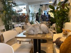 -小时光咖啡馆(北锣鼓巷店)