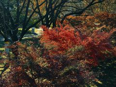 -北京石景山游乐园