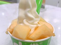 -Salud撒露欧洲冻酸奶(五道口购物中心店)