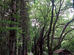 -同里国家湿地公园