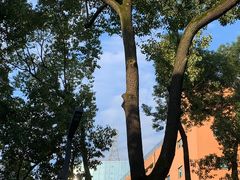 -四川大学(望江校区)