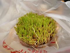 -好彩猪肚鸡(正弘城店)
