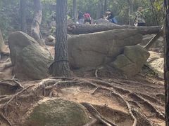 -灵岩山风景区