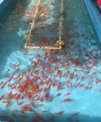 -萌宠亲子动物乐园(槐房万达店)