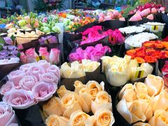 -双季花艺园艺市场(浦东店)