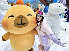 -广州热雪奇迹