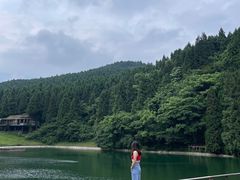 -武陵山森林公园