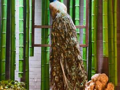 -雀舞云南菜(天津天河城购物中心店)