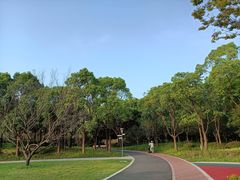 -颐景园
