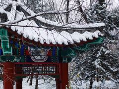 -颐和园