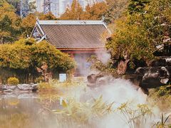 -顺峰山公园