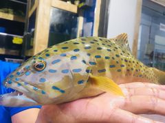 -量贩海鲜餐厅
