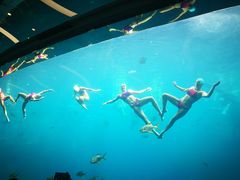 -瑞德姆美人鱼海底演艺主题餐厅(亚龙湾店)