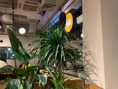 -Wagas沃歌斯(环贸店)