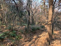 -虞山风景区