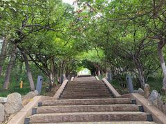 -烟台山景区