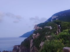 -杨梅坑