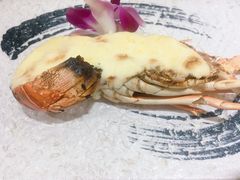 -渔日本料理铁板烧(新天地假日广场店)