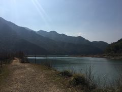 -小芝红树林