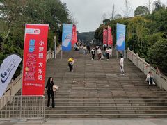 -铁山坪森林公园