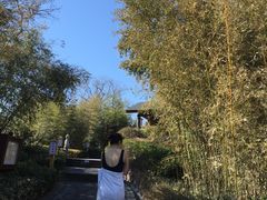 -威海天沐度假区温泉