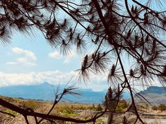 -山王坪喀斯特国家生态公园